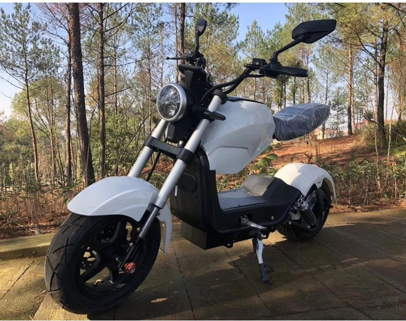 Moto électrique certifiée UE CEE Moto Harley CITYCOCO SCOOTER