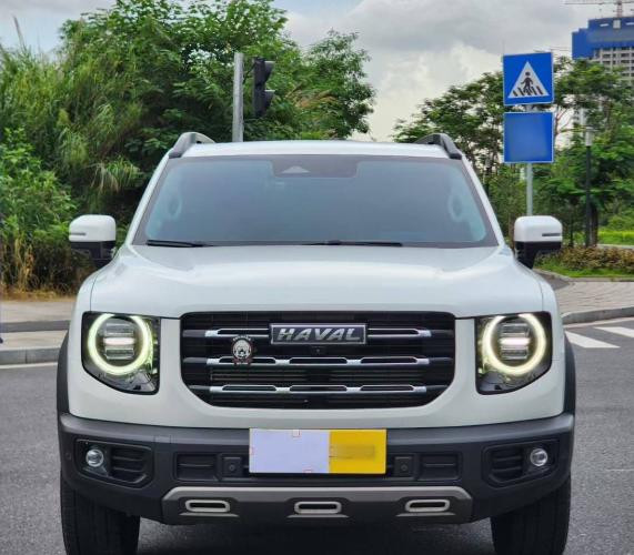 Haval dargo (dagou) 2021 1.5T DCT 2WD Édition Border Collie